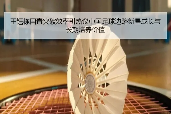 王钰栋国青突破效率引热议中国足球边路新星成长与长期培养价值